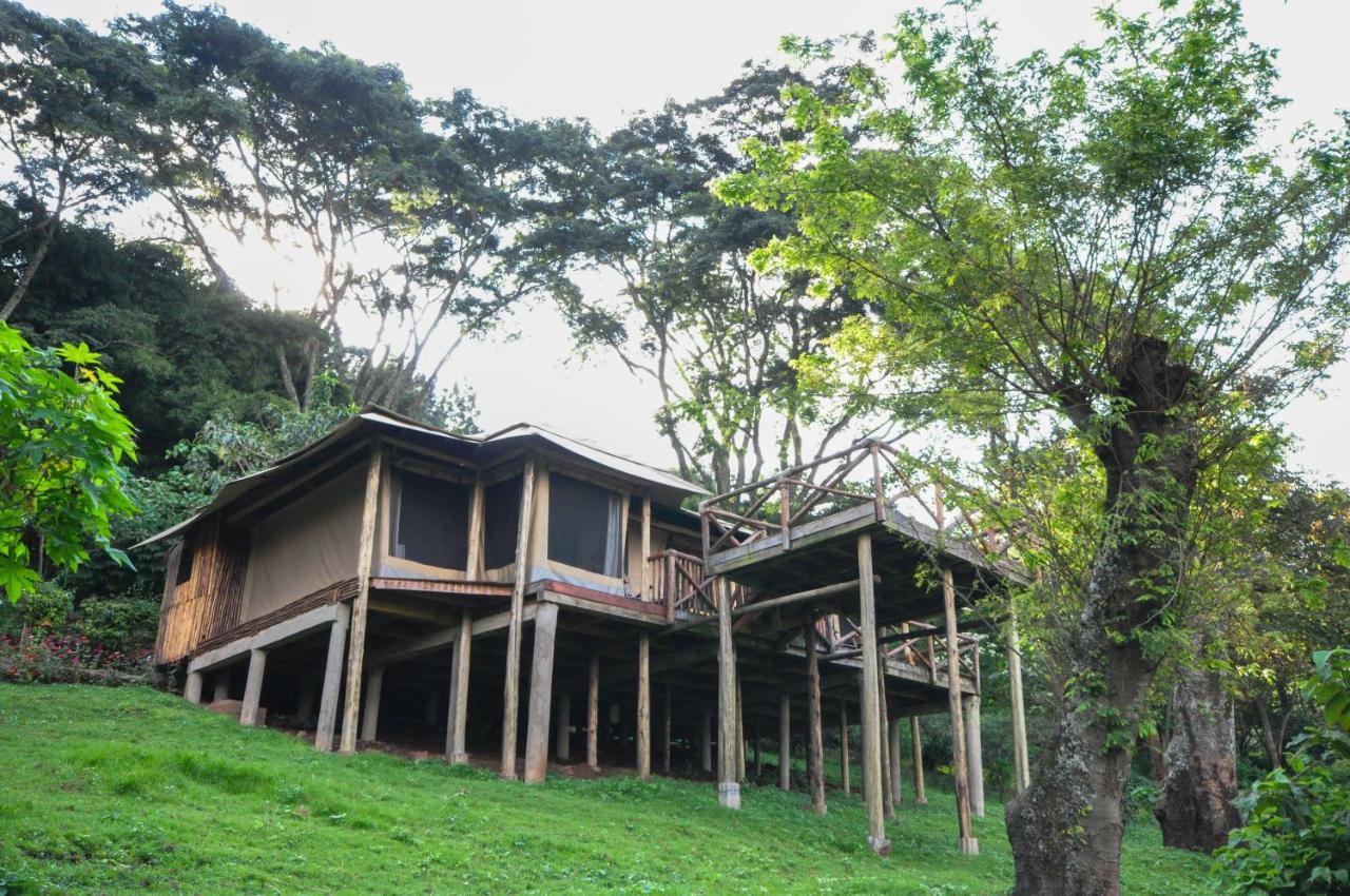 Karama Lodge Arusha Esterno foto